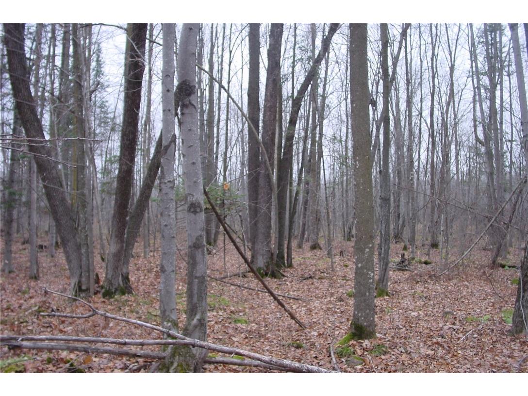 N3711 Cloverland Road Ladysmith WI 54848 1578183 image30