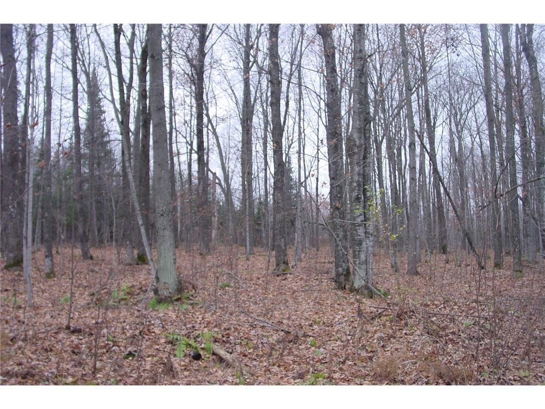 N3711 Cloverland Road Ladysmith WI 54848 1578183 image31