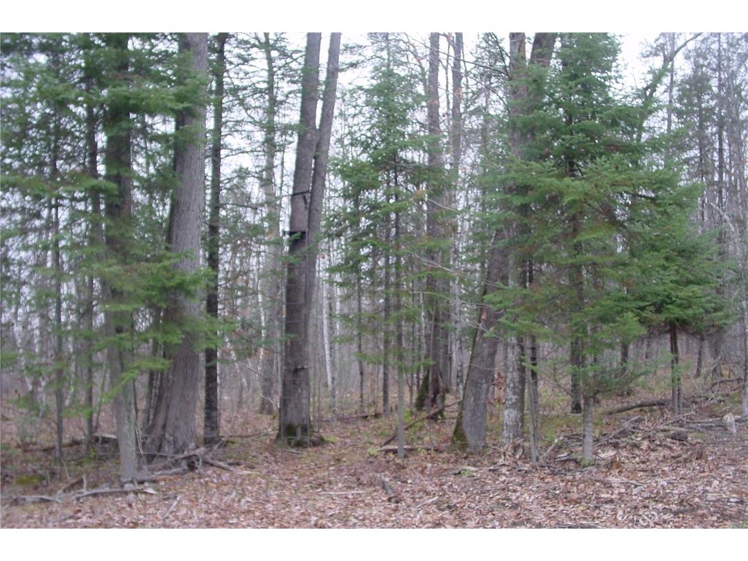 N3711 Cloverland Road Ladysmith WI 54848 1578183 image32