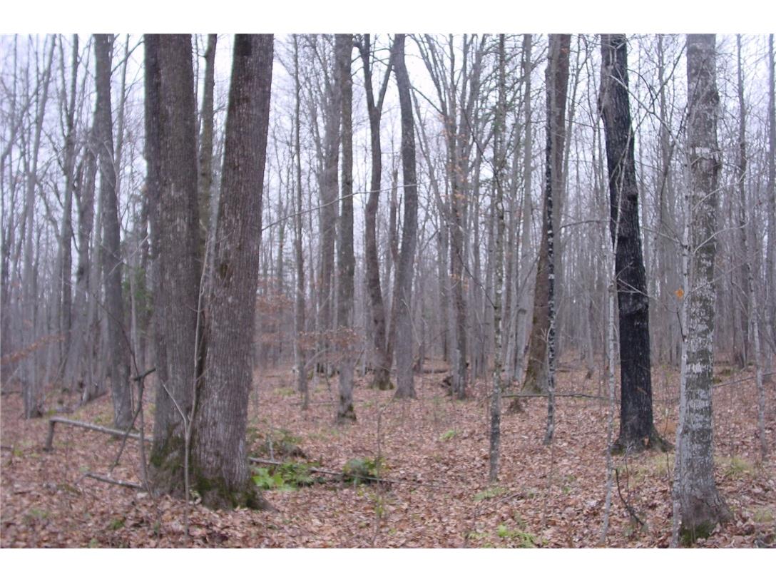 N3711 Cloverland Road Ladysmith WI 54848 1578183 image33