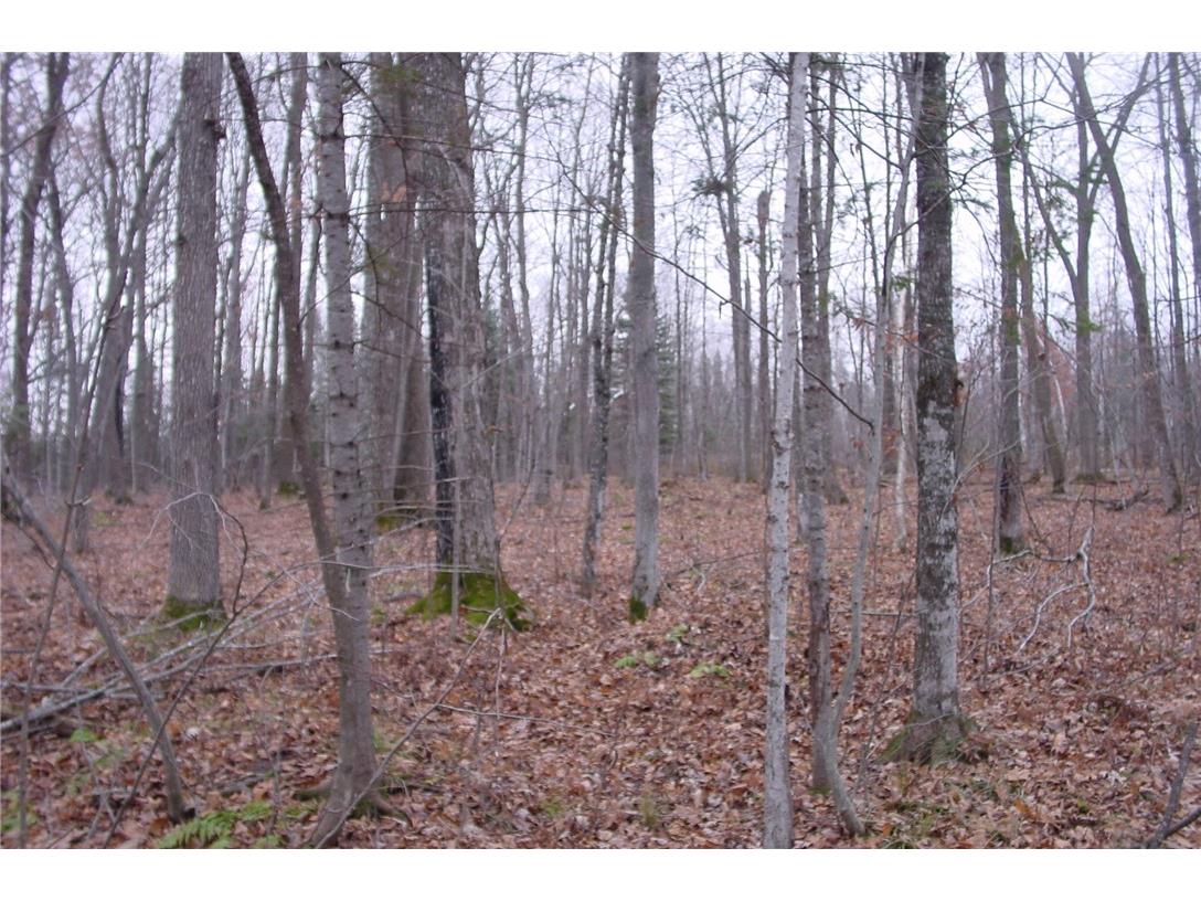 N3711 Cloverland Road Ladysmith WI 54848 1578183 image36