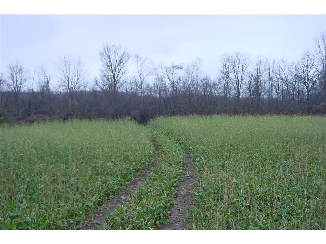 N3711 Cloverland Road Ladysmith WI 54848 1578183 image5