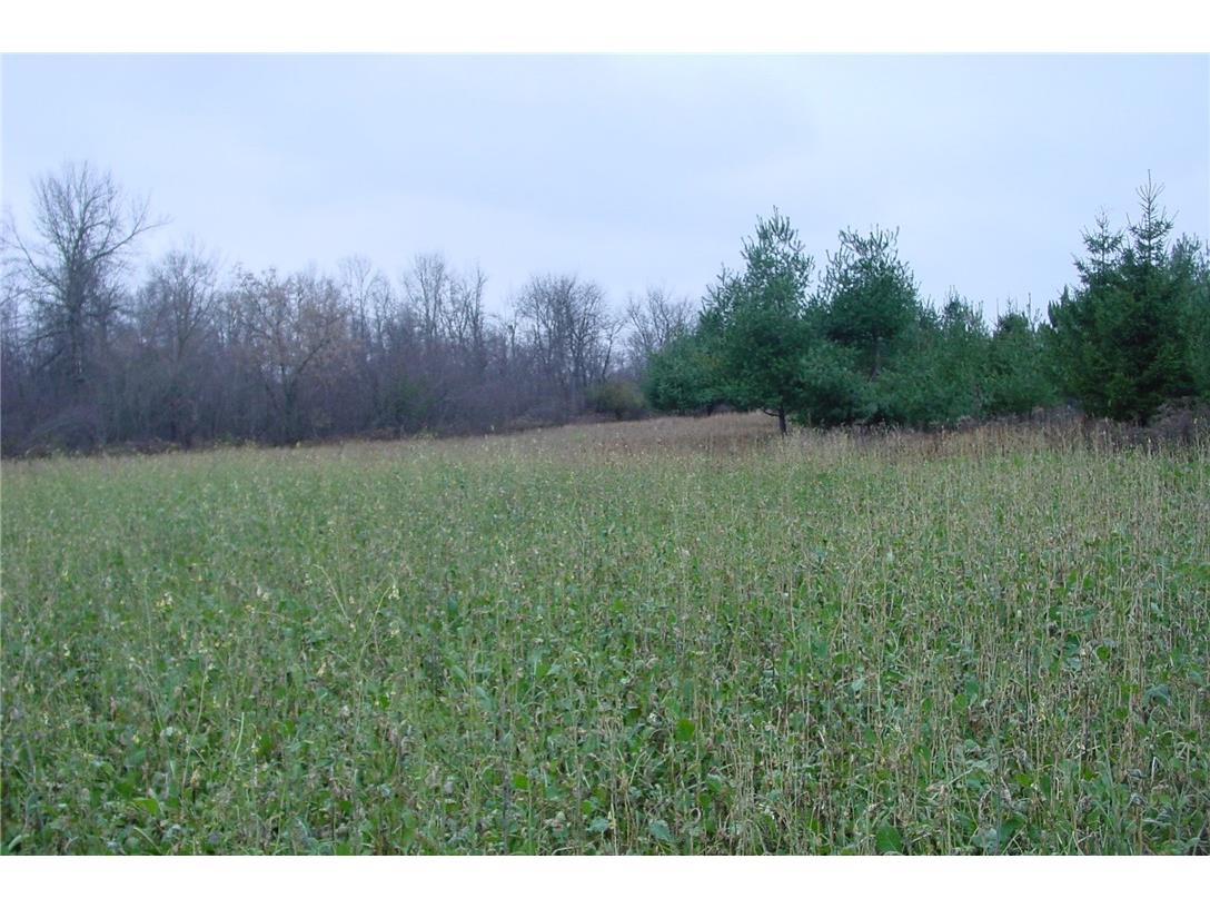 N3711 Cloverland Road Ladysmith WI 54848 1578183 image7