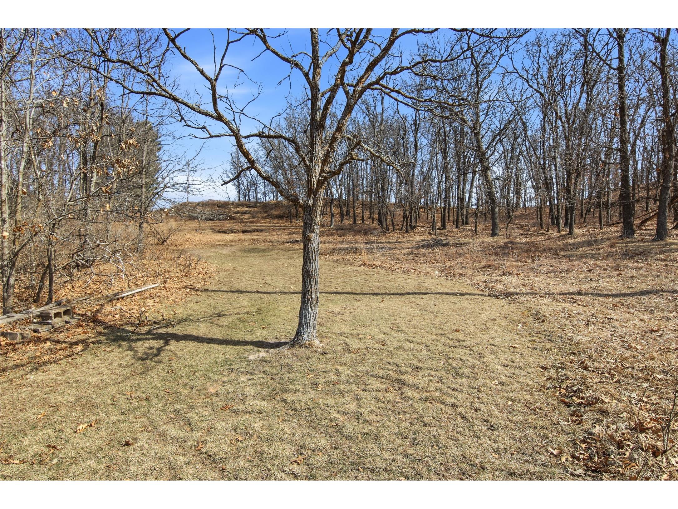 N3862 Claire Road Taylor WI 54659 1599558 image32