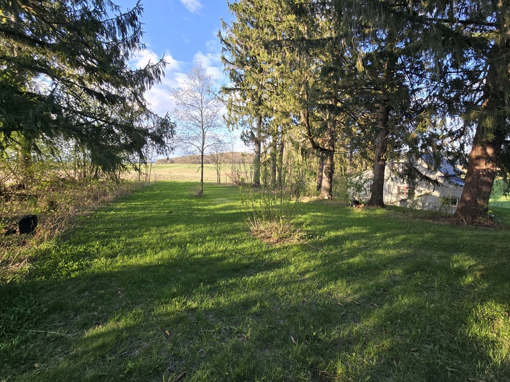 N38965 County Rd W Road W Whitehall WI 54773 1600627 image12