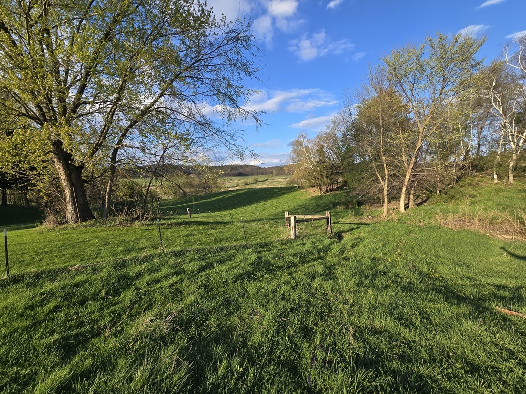 N38965 County Rd W Road W Whitehall WI 54773 1600627 image9