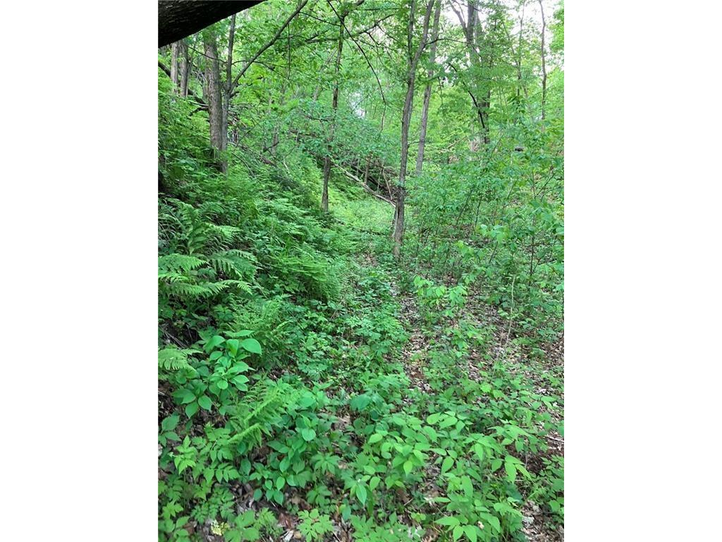 N3953-201 Bear Pen Road Arkansaw WI 54721 1596892 image11