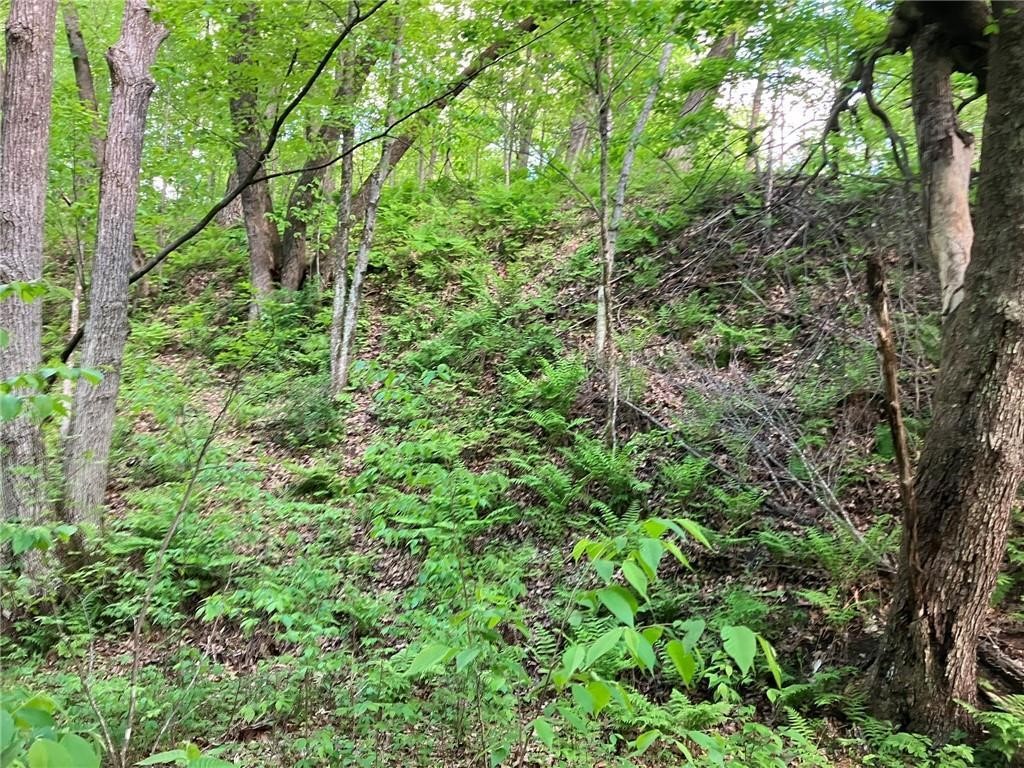 N3953-201 Bear Pen Road Arkansaw WI 54721 1596892 image12