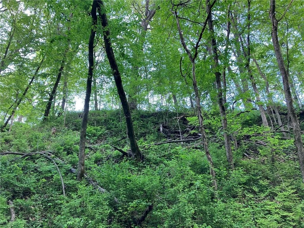 N3953-201 Bear Pen Road Arkansaw WI 54721 1596892 image13