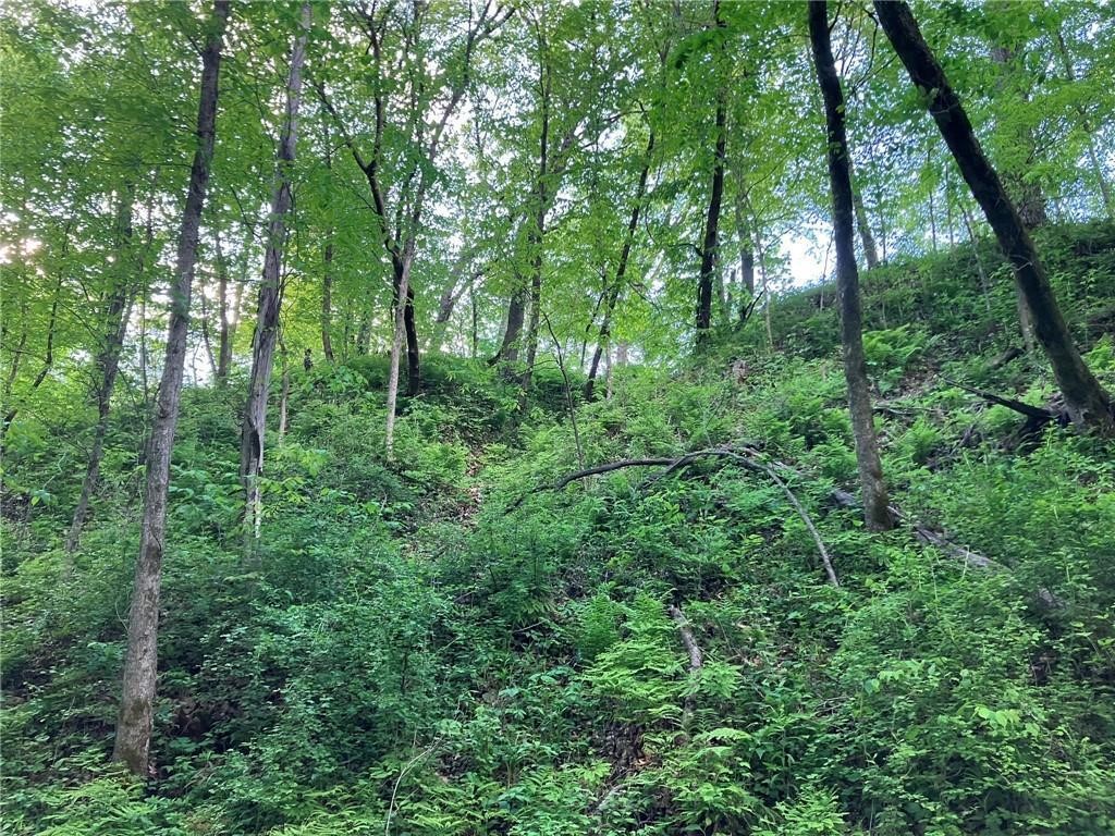 N3953-201 Bear Pen Road Arkansaw WI 54721 1596892 image14