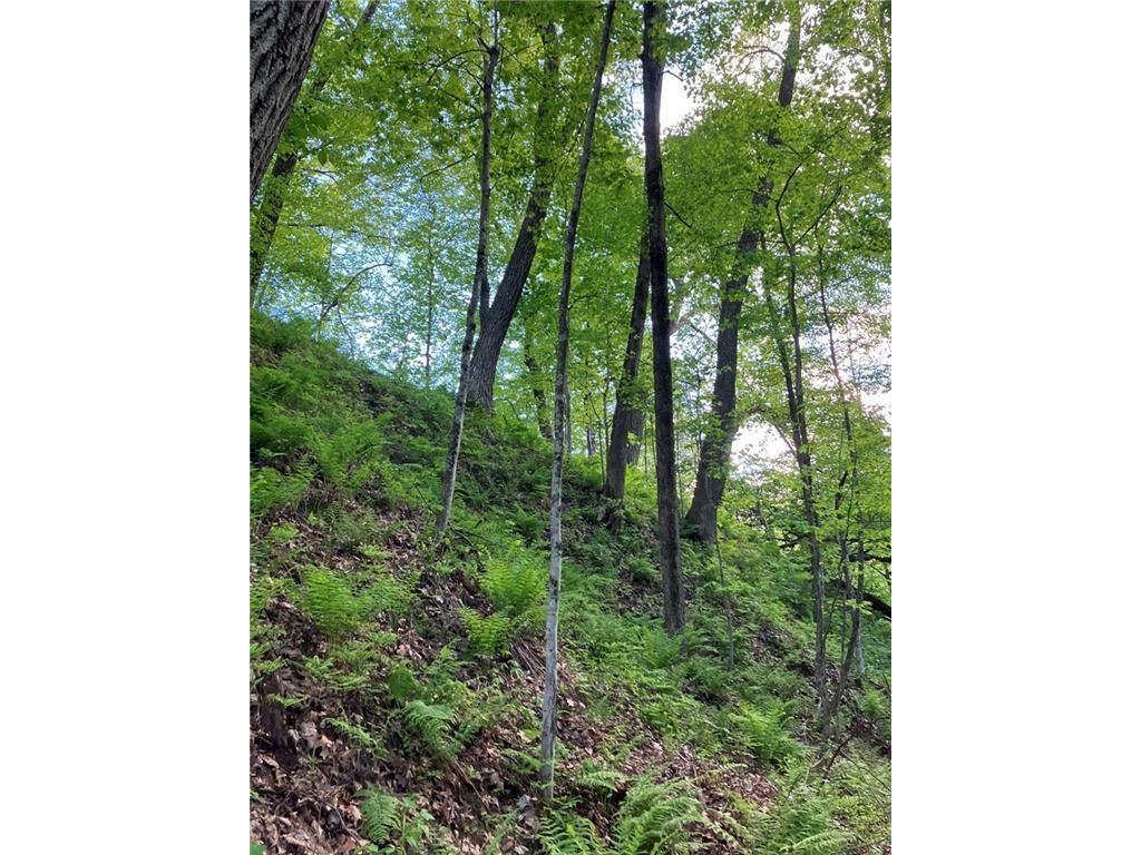 N3953-201 Bear Pen Road Arkansaw WI 54721 1596892 image15