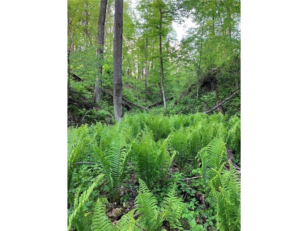 N3953-201 Bear Pen Road Arkansaw WI 54721 1596892 image16