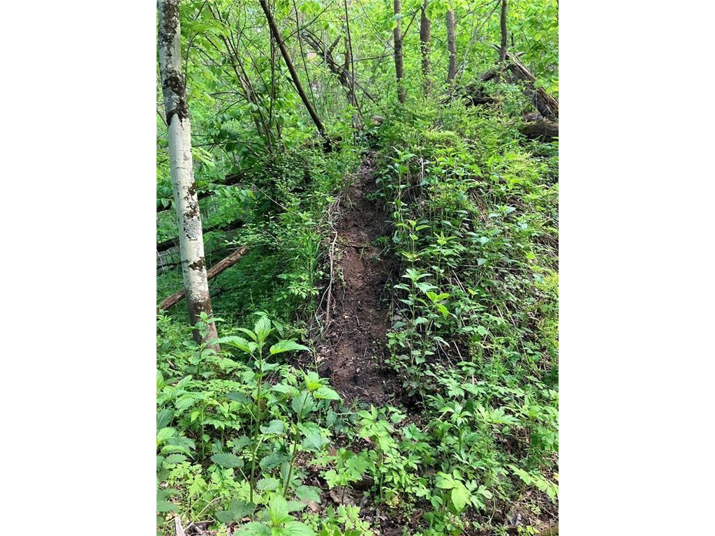 N3953-201 Bear Pen Road Arkansaw WI 54721 1596892 image17