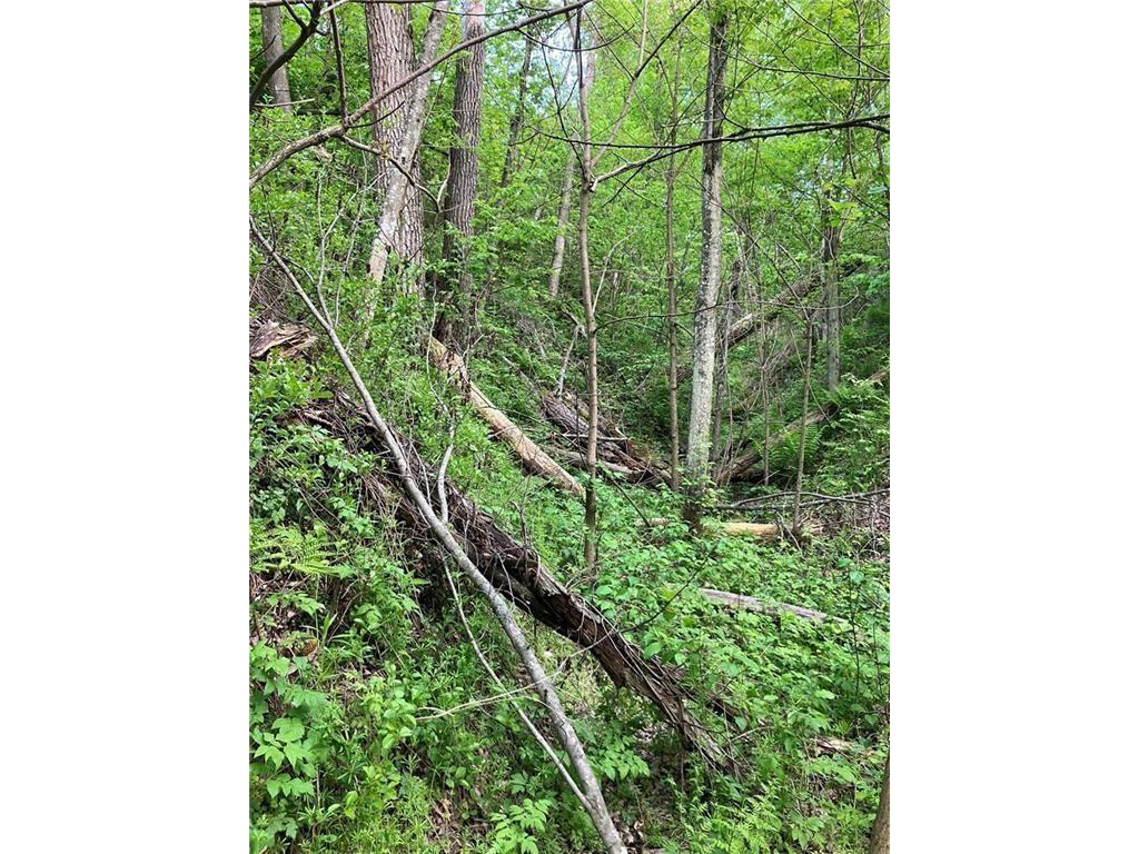 N3953-201 Bear Pen Road Arkansaw WI 54721 1596892 image18