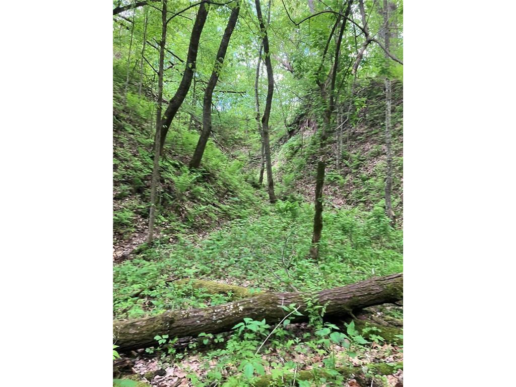 N3953-201 Bear Pen Road Arkansaw WI 54721 1596892 image19