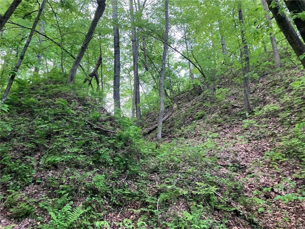 N3953-201 Bear Pen Road Arkansaw WI 54721 1596892 image20