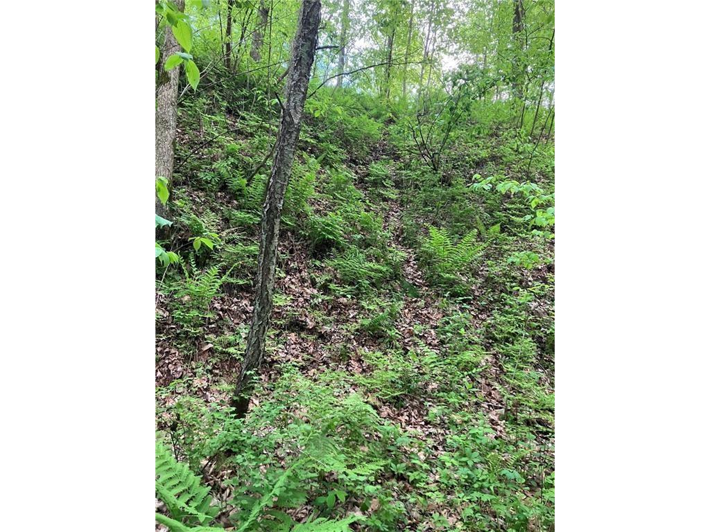 N3953-201 Bear Pen Road Arkansaw WI 54721 1596892 image21