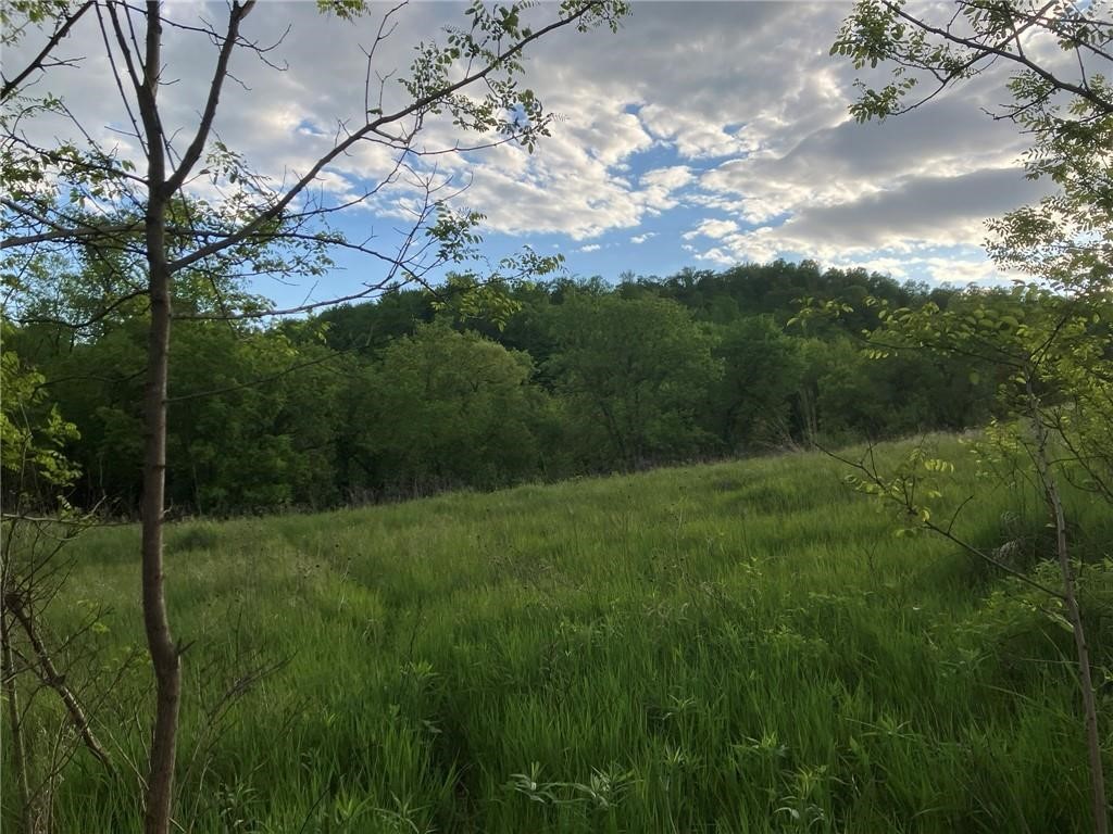 N3953-201 Bear Pen Road Arkansaw WI 54721 1596892 image24