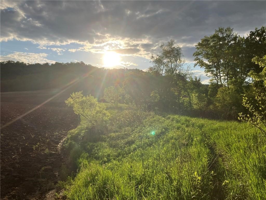 N3953-201 Bear Pen Road Arkansaw WI 54721 1596892 image25