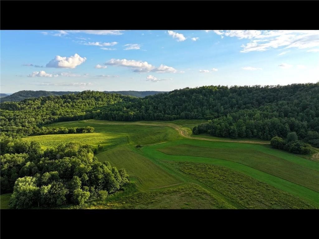 N3953-201 Bear Pen Road Arkansaw WI 54721 1596892 image28