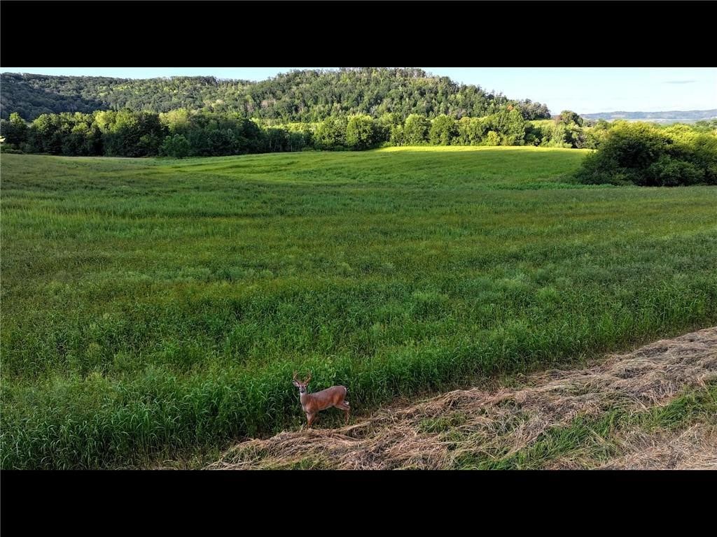 N3953-201 Bear Pen Road Arkansaw WI 54721 1596892 image31