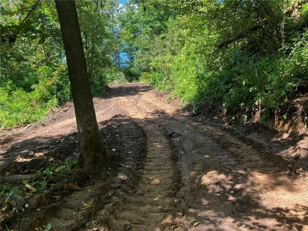 N3953-201 Bear Pen Road Arkansaw WI 54721 1596892 image32