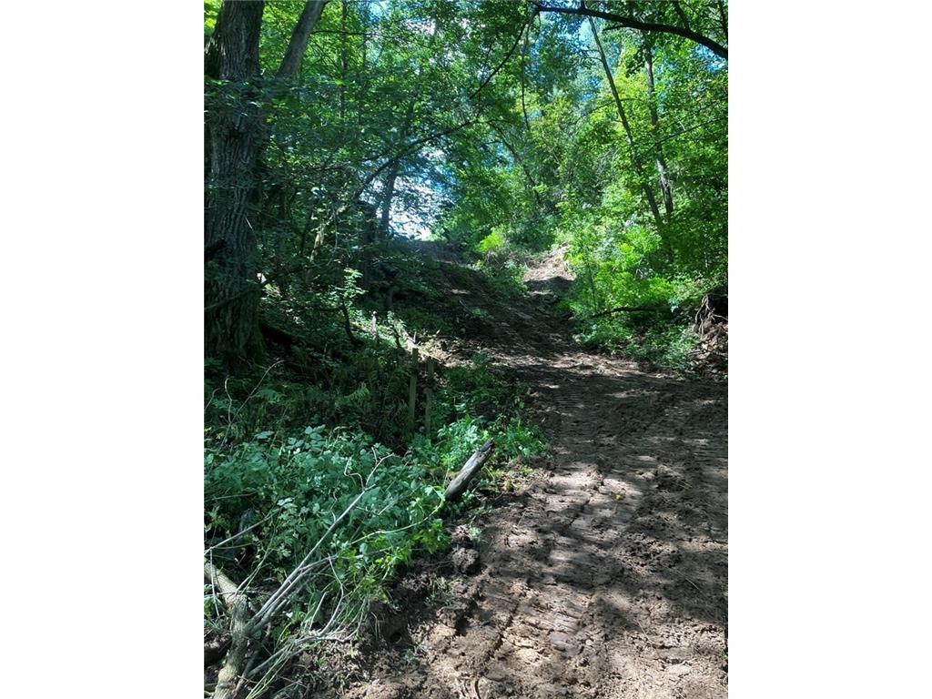 N3953-201 Bear Pen Road Arkansaw WI 54721 1596892 image35