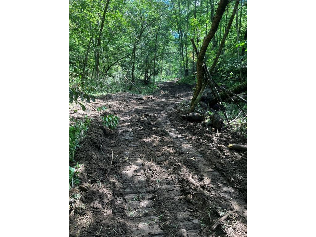 N3953-201 Bear Pen Road Arkansaw WI 54721 1596892 image40