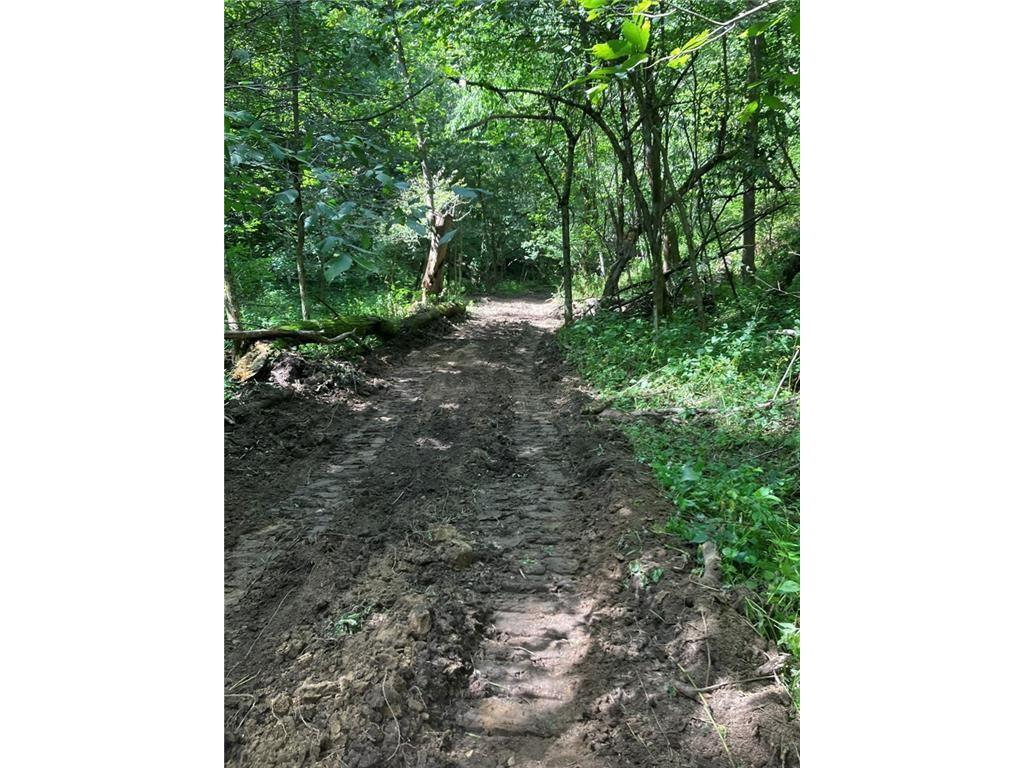 N3953-201 Bear Pen Road Arkansaw WI 54721 1596892 image41