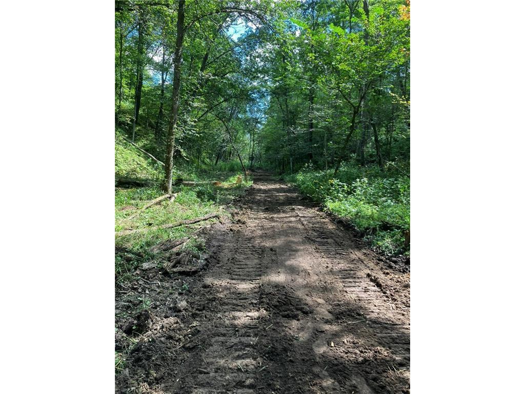 N3953-201 Bear Pen Road Arkansaw WI 54721 1596892 image42
