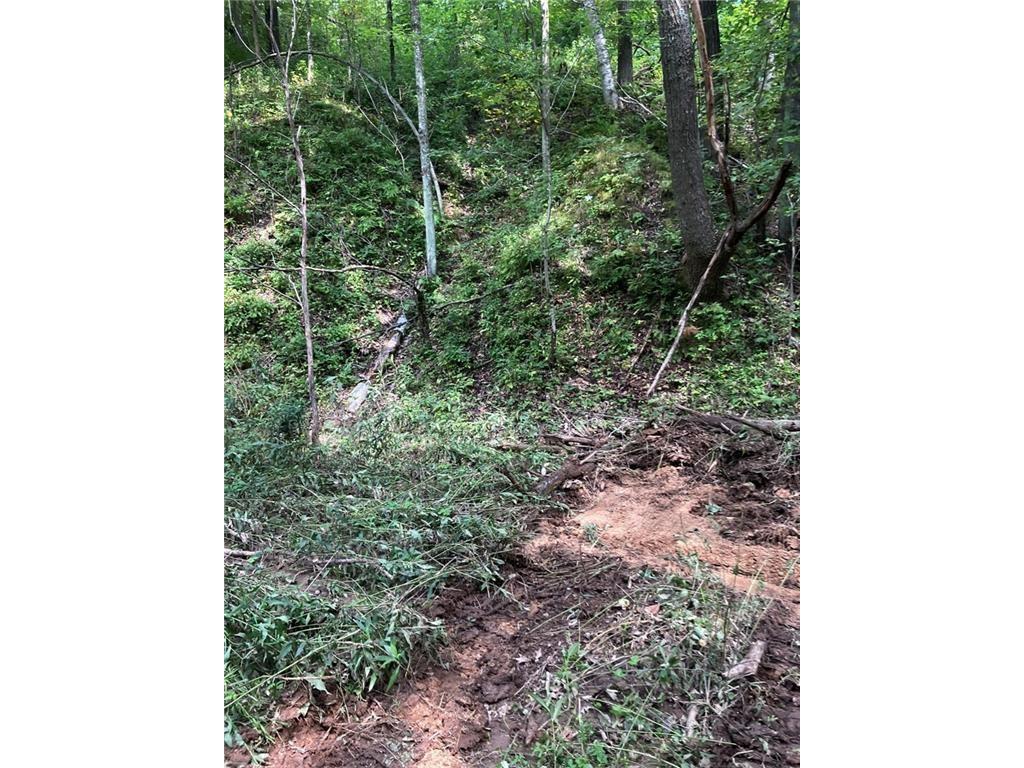 N3953-201 Bear Pen Road Arkansaw WI 54721 1596892 image43