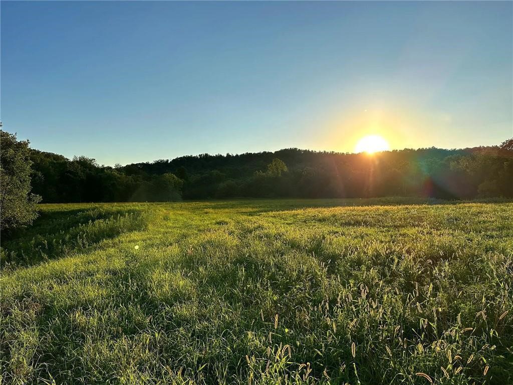 N3953-201 Bear Pen Road Arkansaw WI 54721 1596892 image8