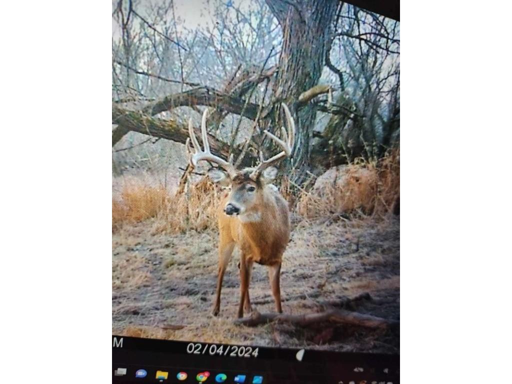 N3953-89 Bear Pen Road Arkansaw WI 54721 1595120 image1