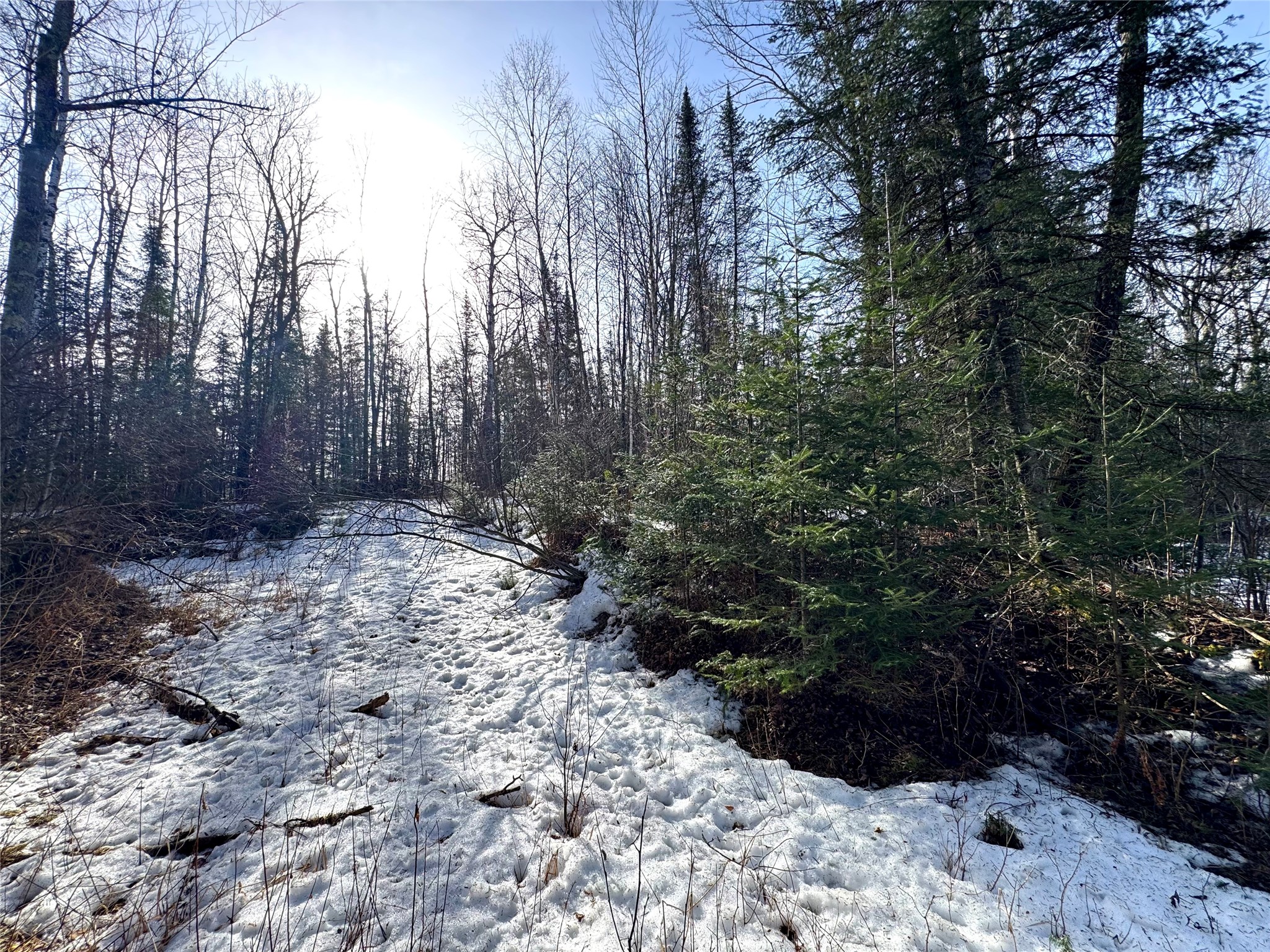 N4100 Stade Road Prentice WI 54556 - Douglas Creek 1599152 image17