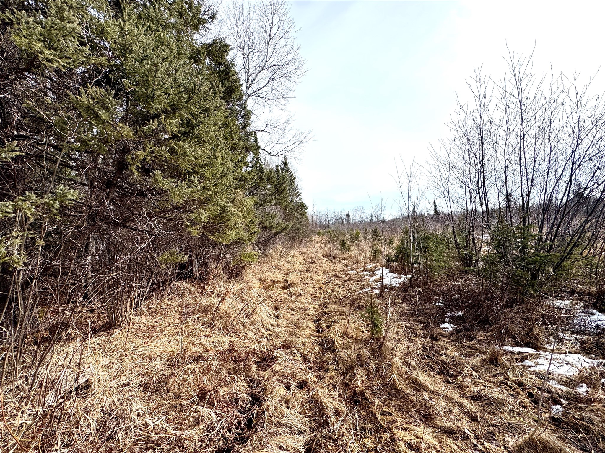 N4100 Stade Road Prentice WI 54556 - Douglas Creek 1599152 image19