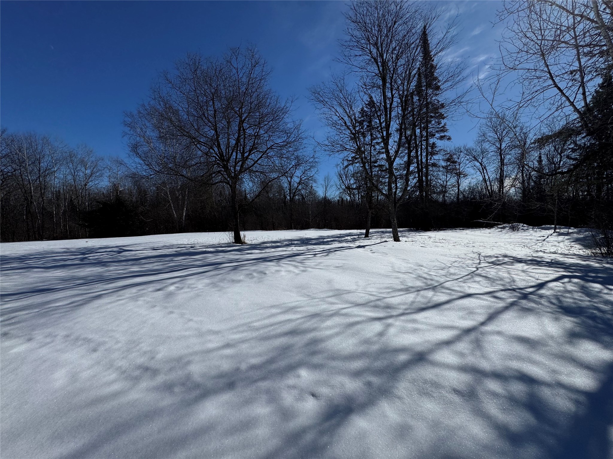 N4100 Stade Road Prentice WI 54556 - Douglas Creek 1599152 image4