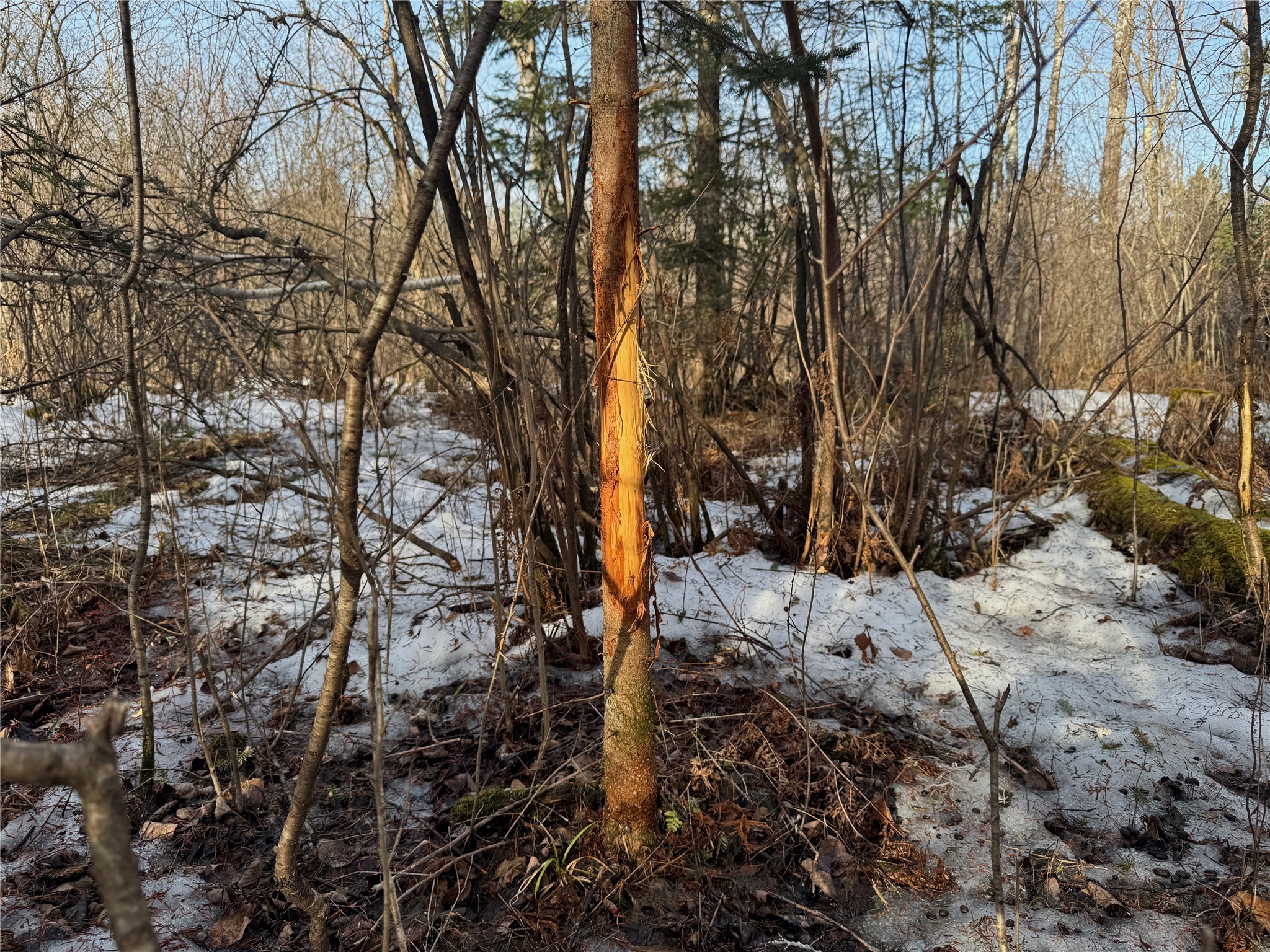 N4100 Stade Road Prentice WI 54556 - Douglas Creek 1599152 image9