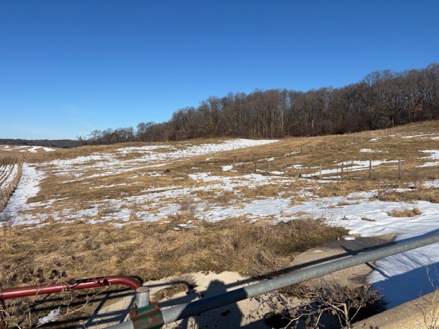 N41286 Halama Road Independence WI 54747 1599441 image22
