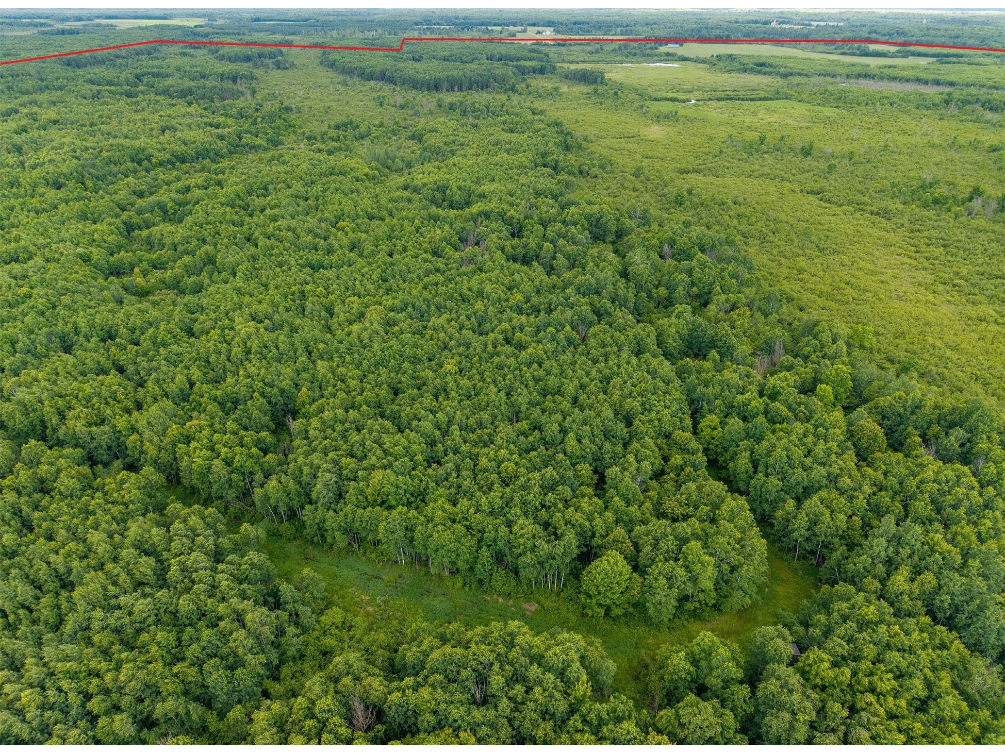 N4180 Wilderness Road Glen Flora WI 54526 - Ponds 1602463 image26