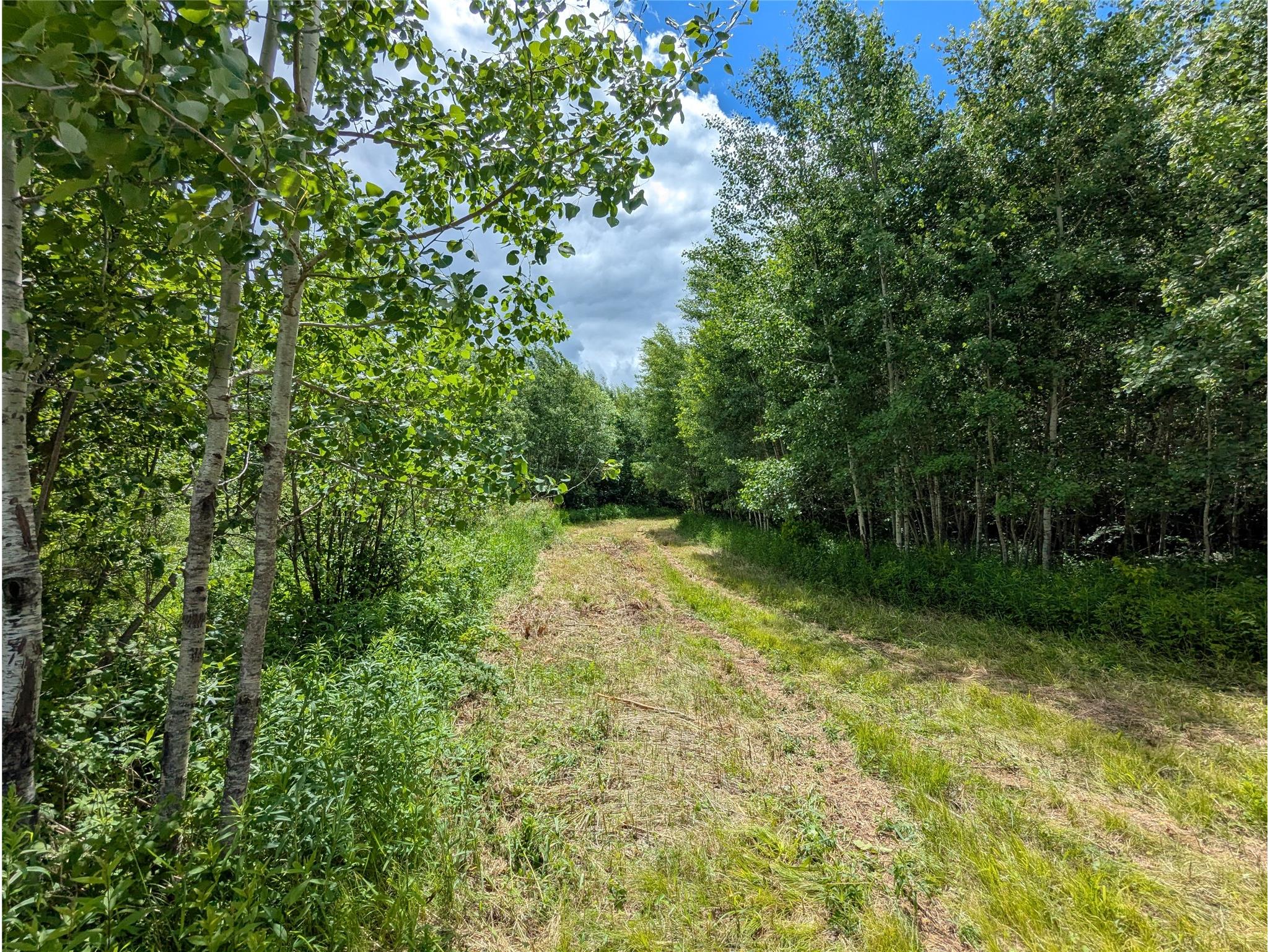N4180 Wilderness Road Glen Flora WI 54526 - Ponds 1602463 image6