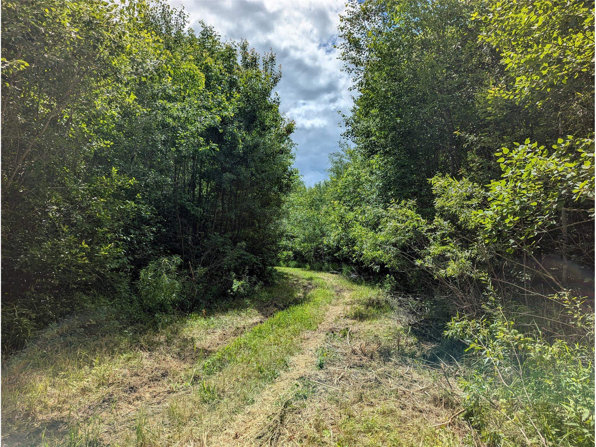 N4180 Wilderness Road Glen Flora WI 54526 - Ponds 1602463 image7