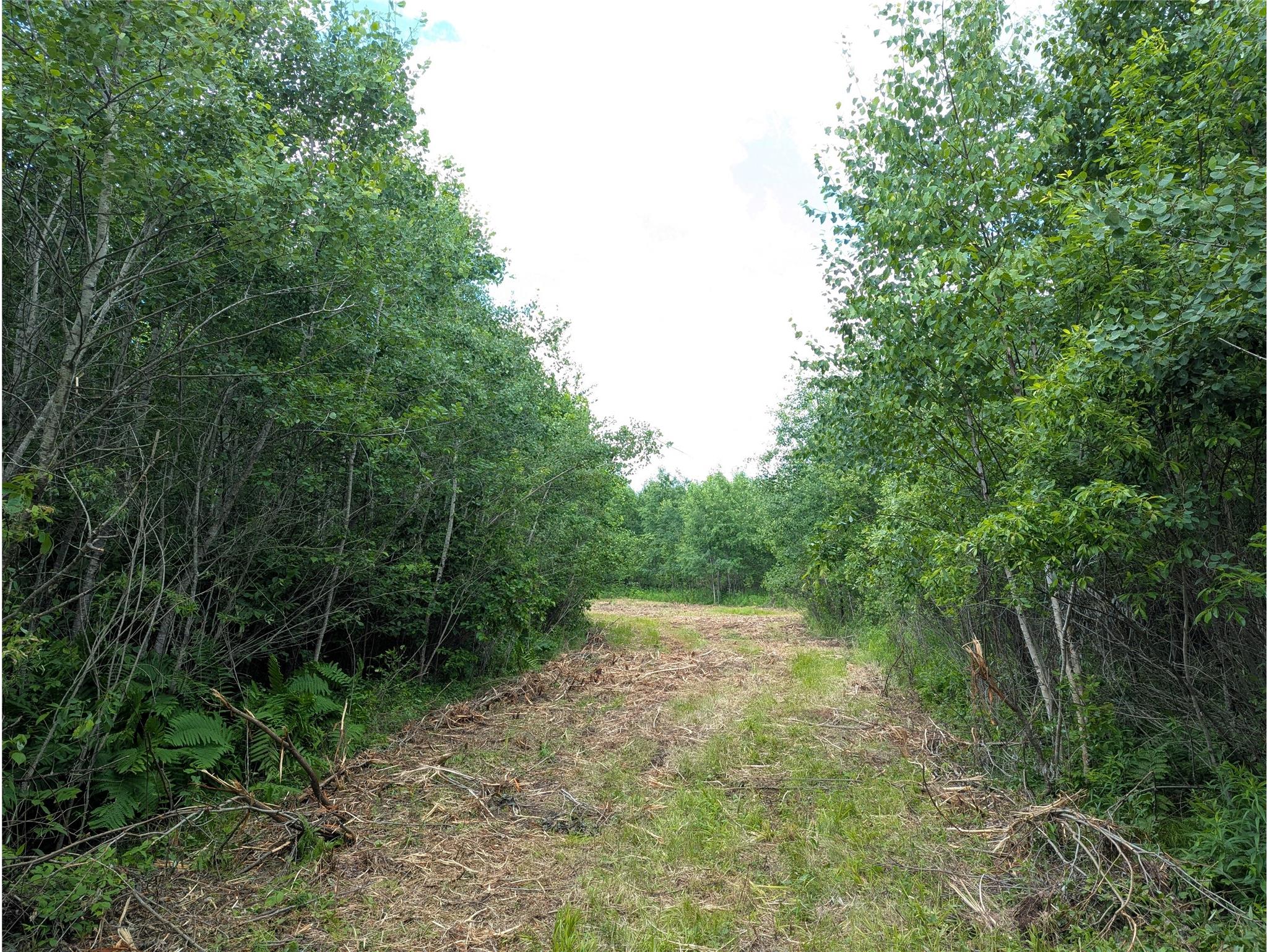 N4180 Wilderness Road Glen Flora WI 54526 - Ponds 1602463 image8