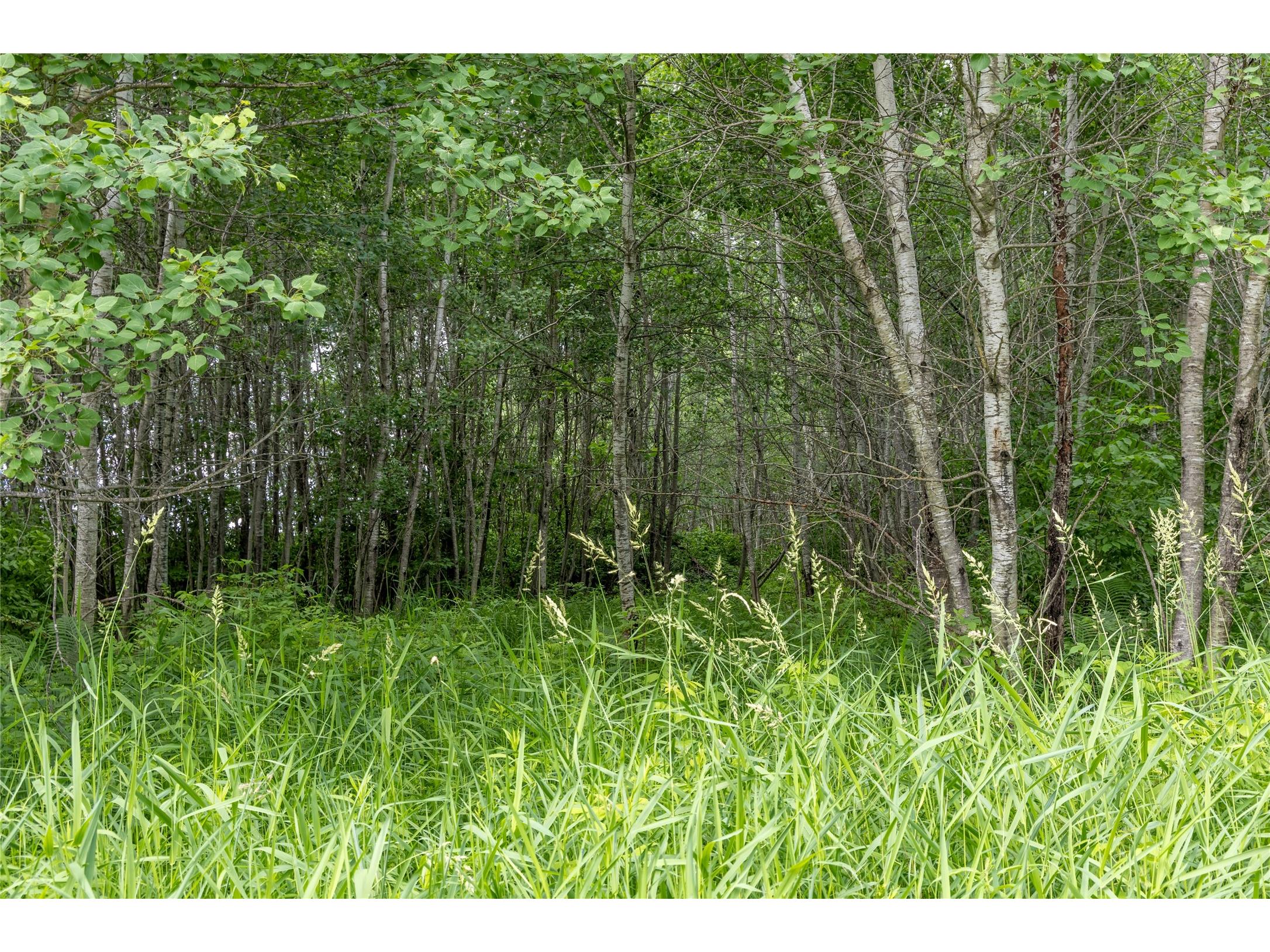 N4180 Wilderness Road Glen Flora WI 54526 - Ponds 1602463 image9