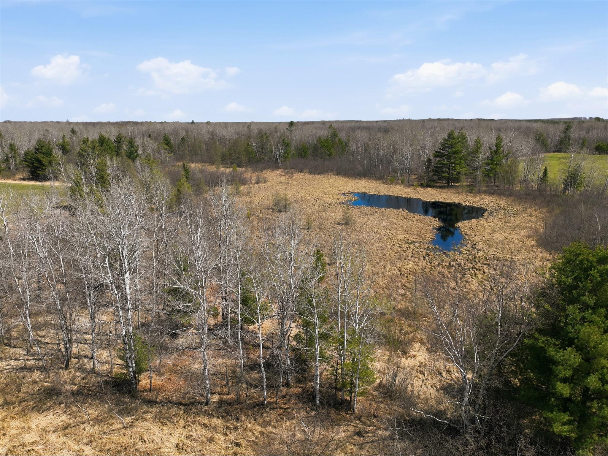 N4280 County Rd E Bruce WI 54819 1600428 image18
