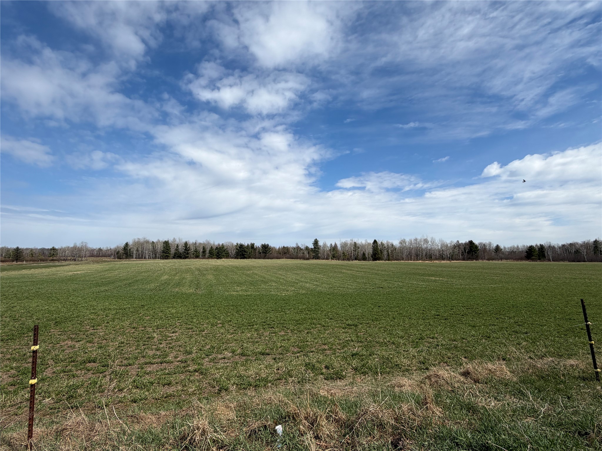 N4280 County Rd E Bruce WI 54819 1600428 image24
