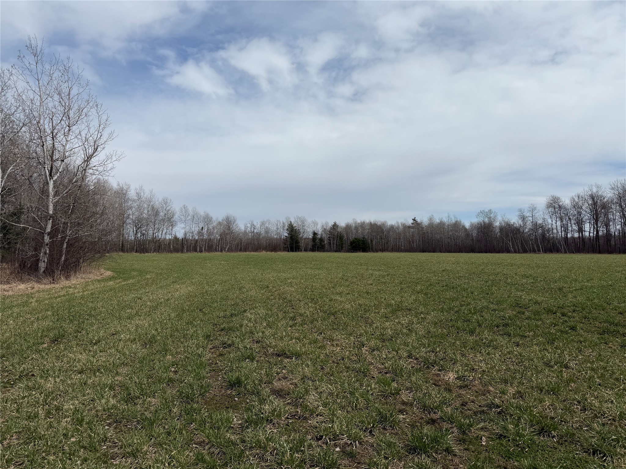 N4280 County Rd E Bruce WI 54819 1600428 image27