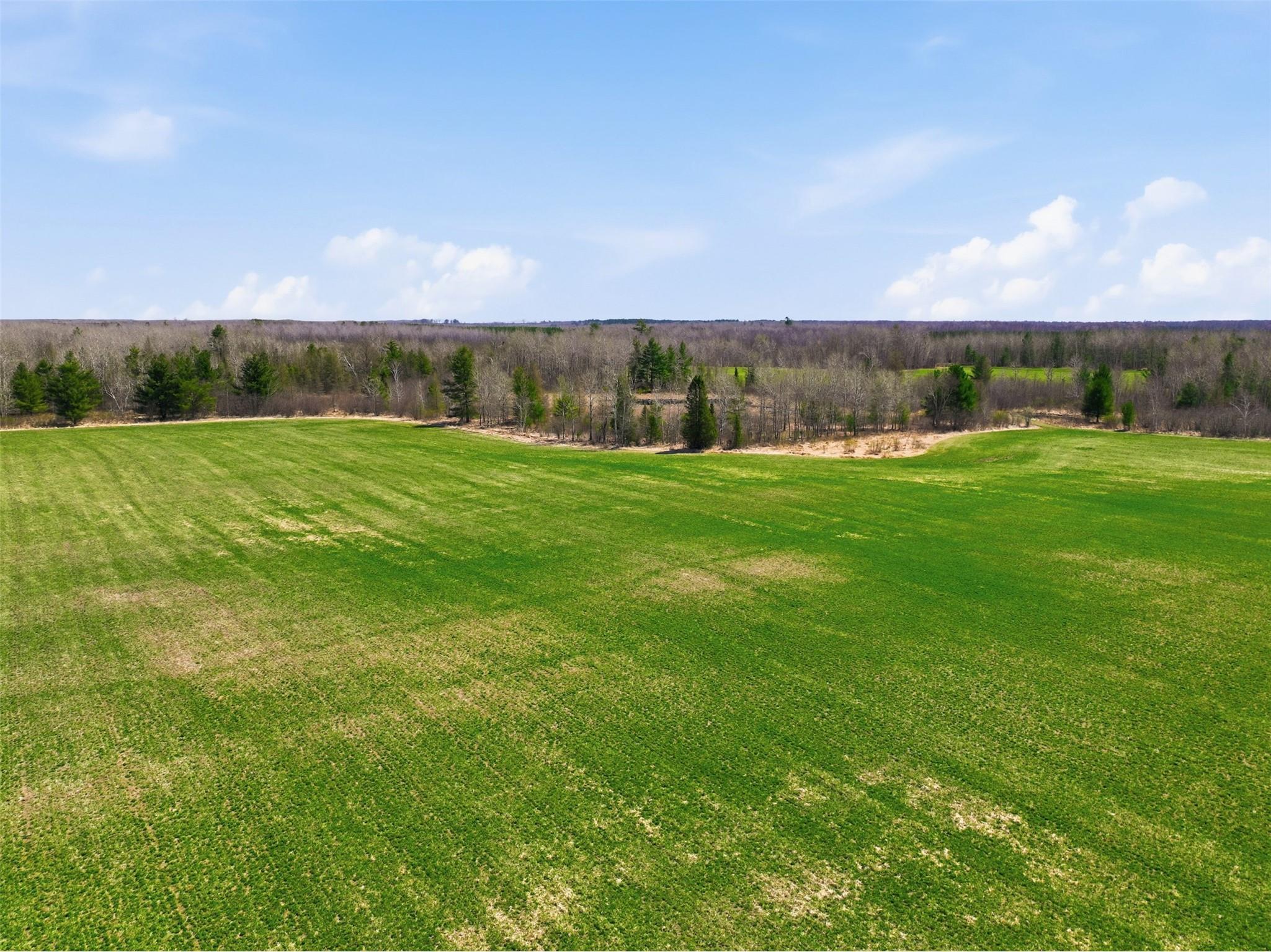 N4280 County Rd E Bruce WI 54819 1600428 image3