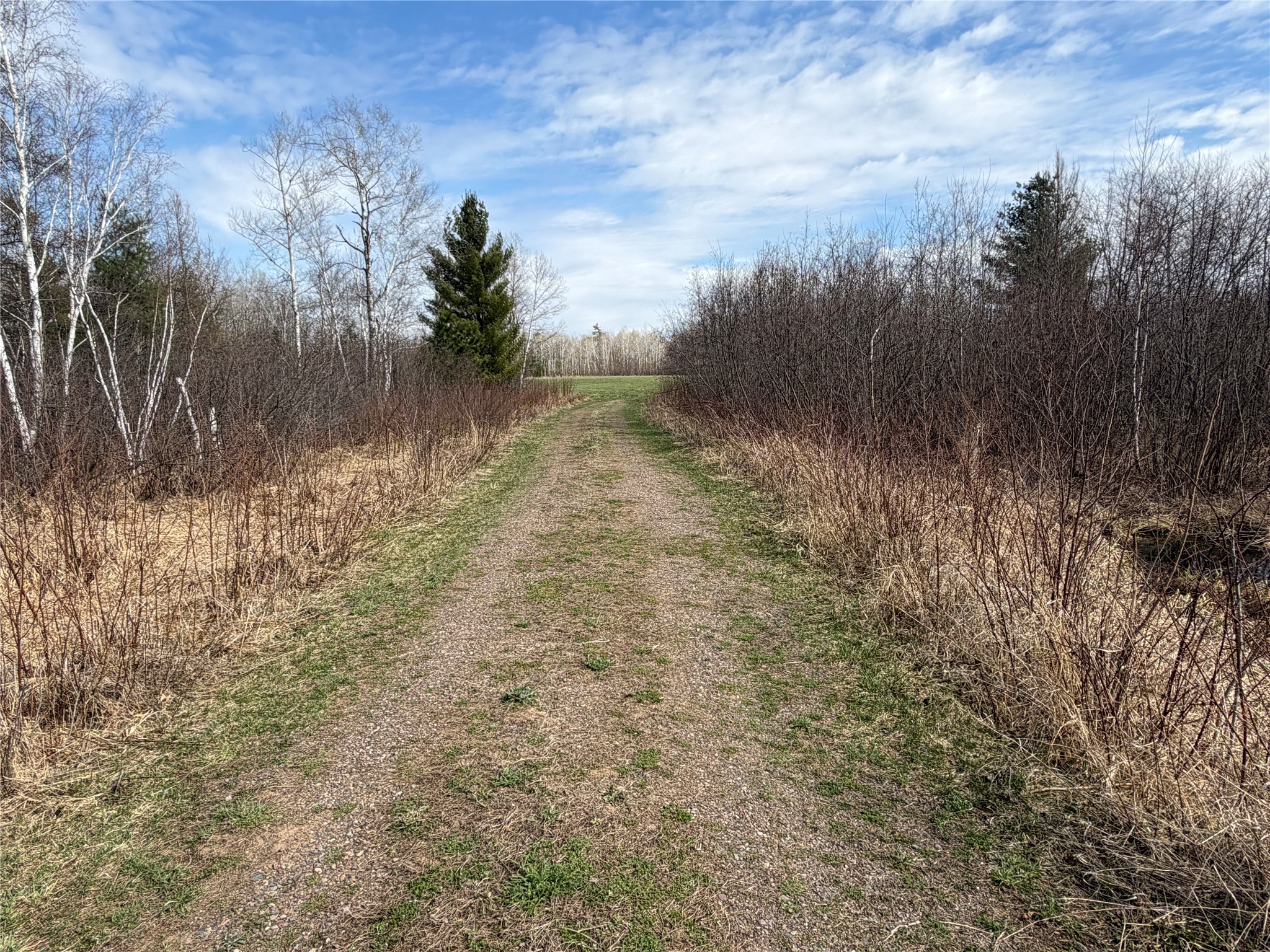 N4280 County Rd E Bruce WI 54819 1600428 image30