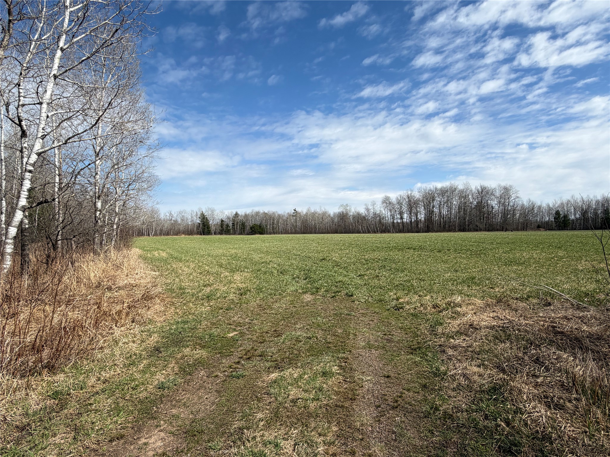 N4280 County Rd E Bruce WI 54819 1600428 image31