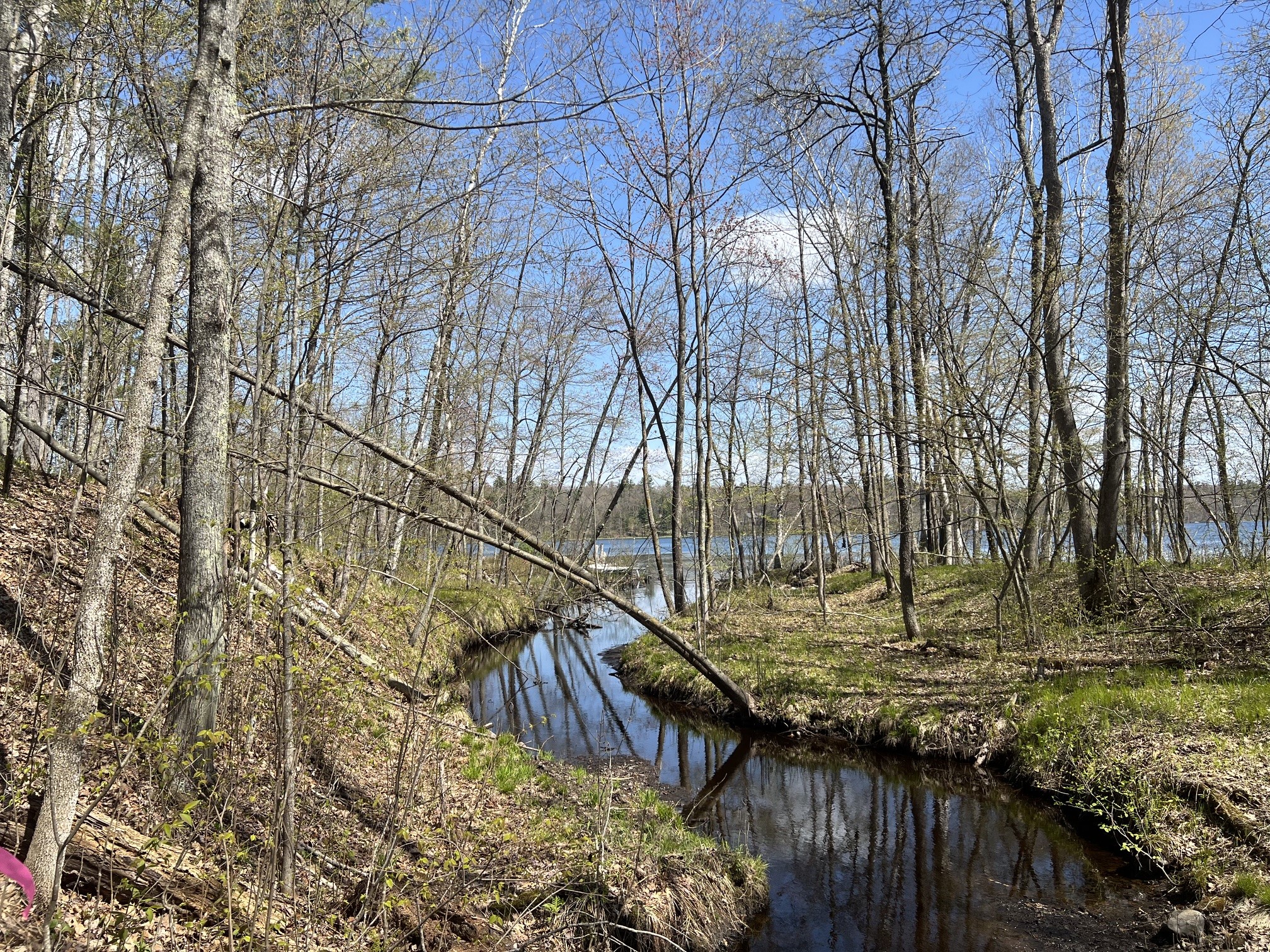 N4365 Red Oak Lane Stone Lake WI 54876 - Slim Lake 1601171 image12